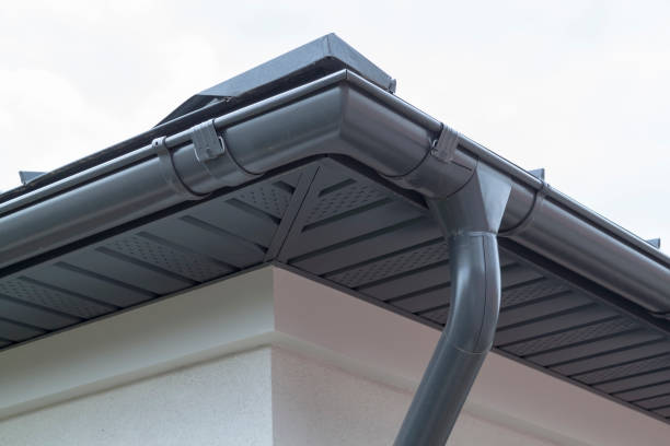 Gutter Cleaning